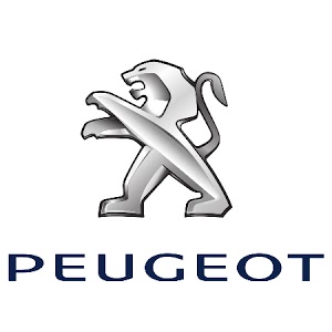 GARAGE CHENEAUX - PEUGEOT